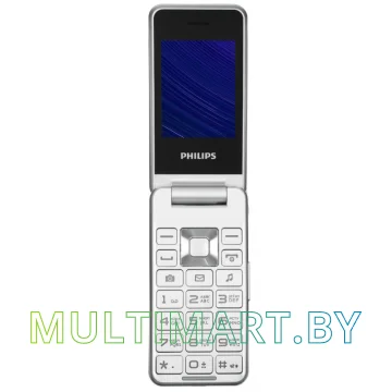 Мобильный телефон Philips Xenium E2601 (серебристый)